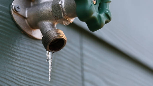 Best Shower Repair Services  in Blackfoot, ID